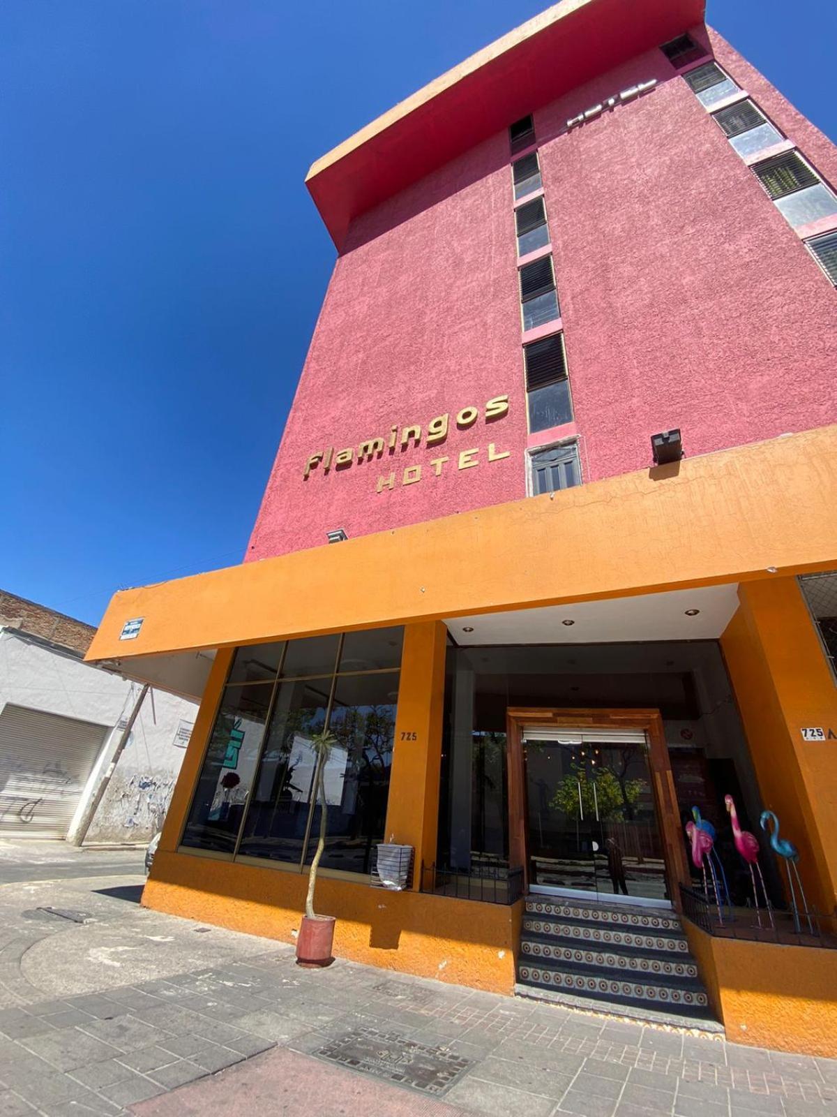 Hotel Flamingos MÉxico Compara Precios De Hoteles 9952