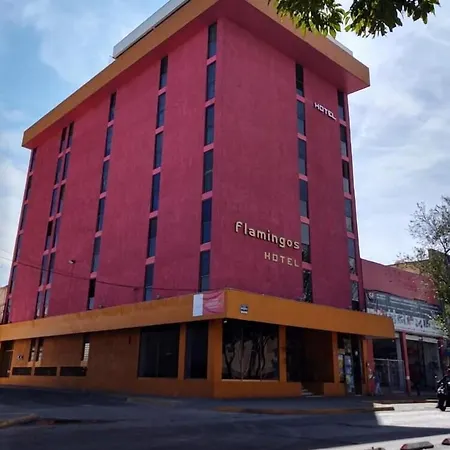 Hotel Flamingos
